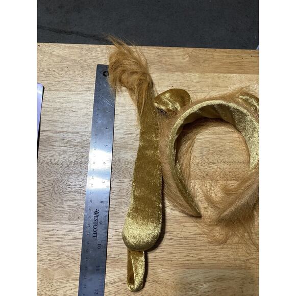 Rubie's - The Wizard of Oz Badge Of Courage NEW PLUS Headband And Tail - Picture 6 of 6